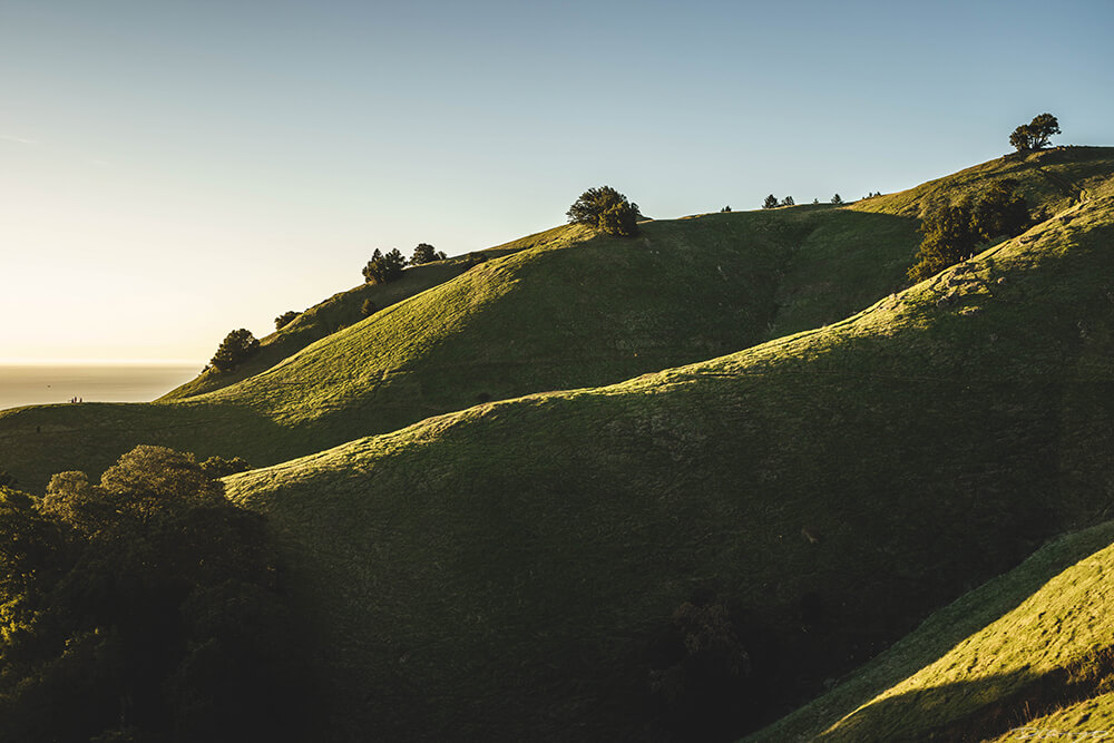 Mt Tam Rolling Shadows Golden Light, CA