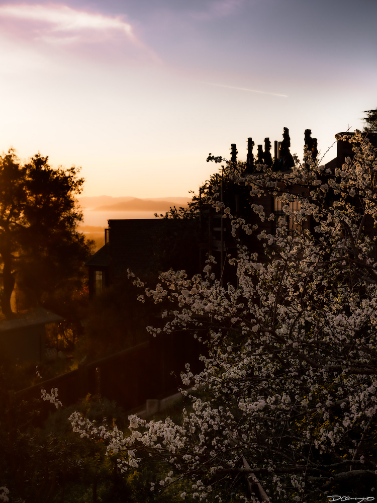 Landscape photos from Mendocino, CA, during a vibrant sunset.