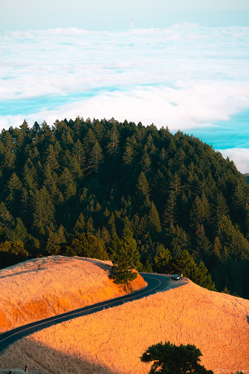 Overlooking a famous bend on Mt Tamalpais with redwood forest and low clouds in the background, CA.