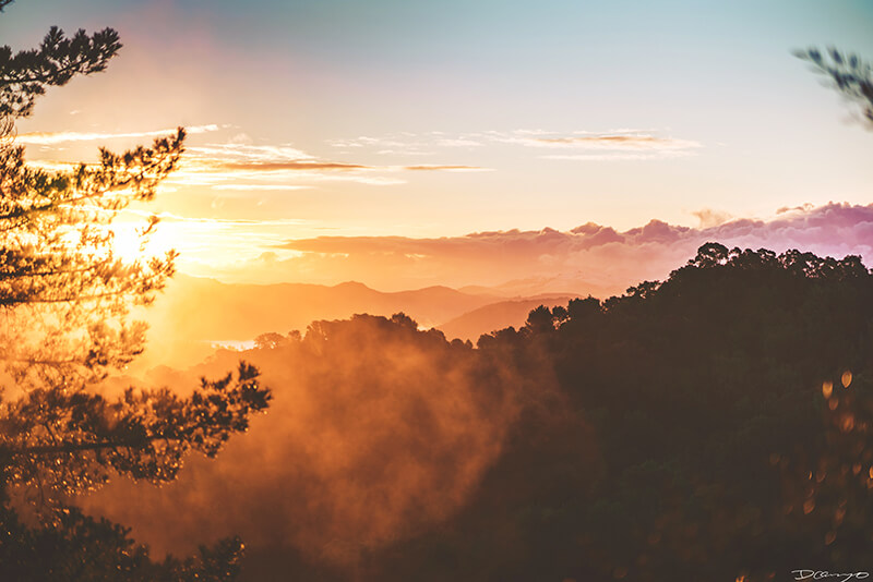 An orange and pink bright sunrise with low rising fog seen from the Oakland Hills, CA