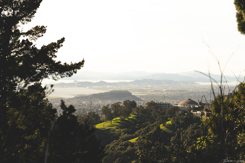 Lawrence Lab of Science and green rolling hills seen from the Berkeley Hills, CA