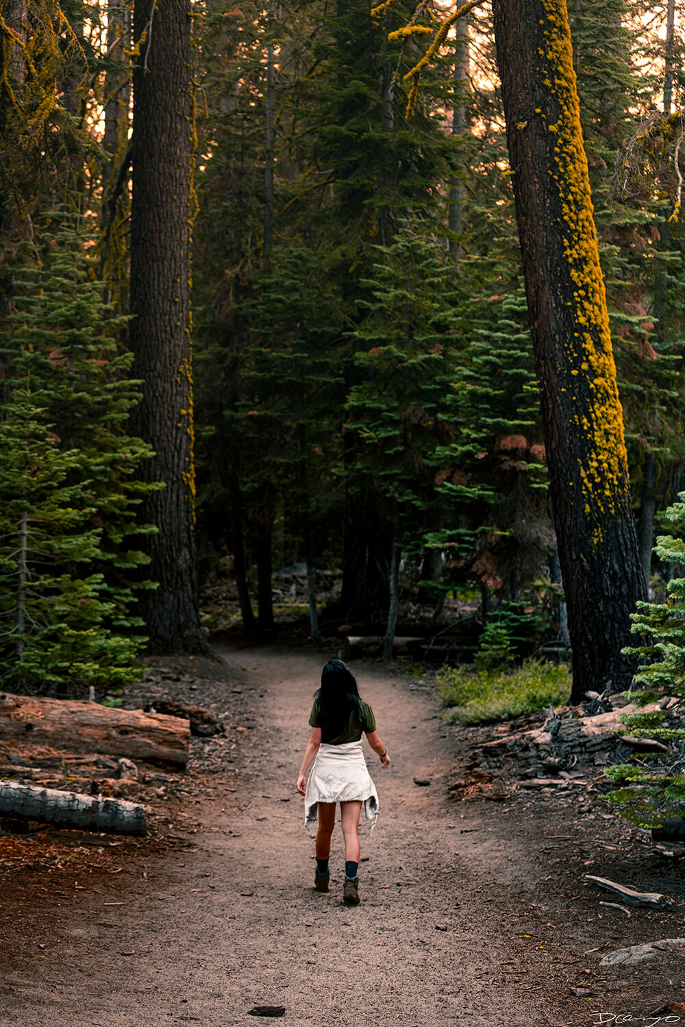 Landscape and nature photos from Yosemite, CA, during a vibrant sunset at the end of August 2020.