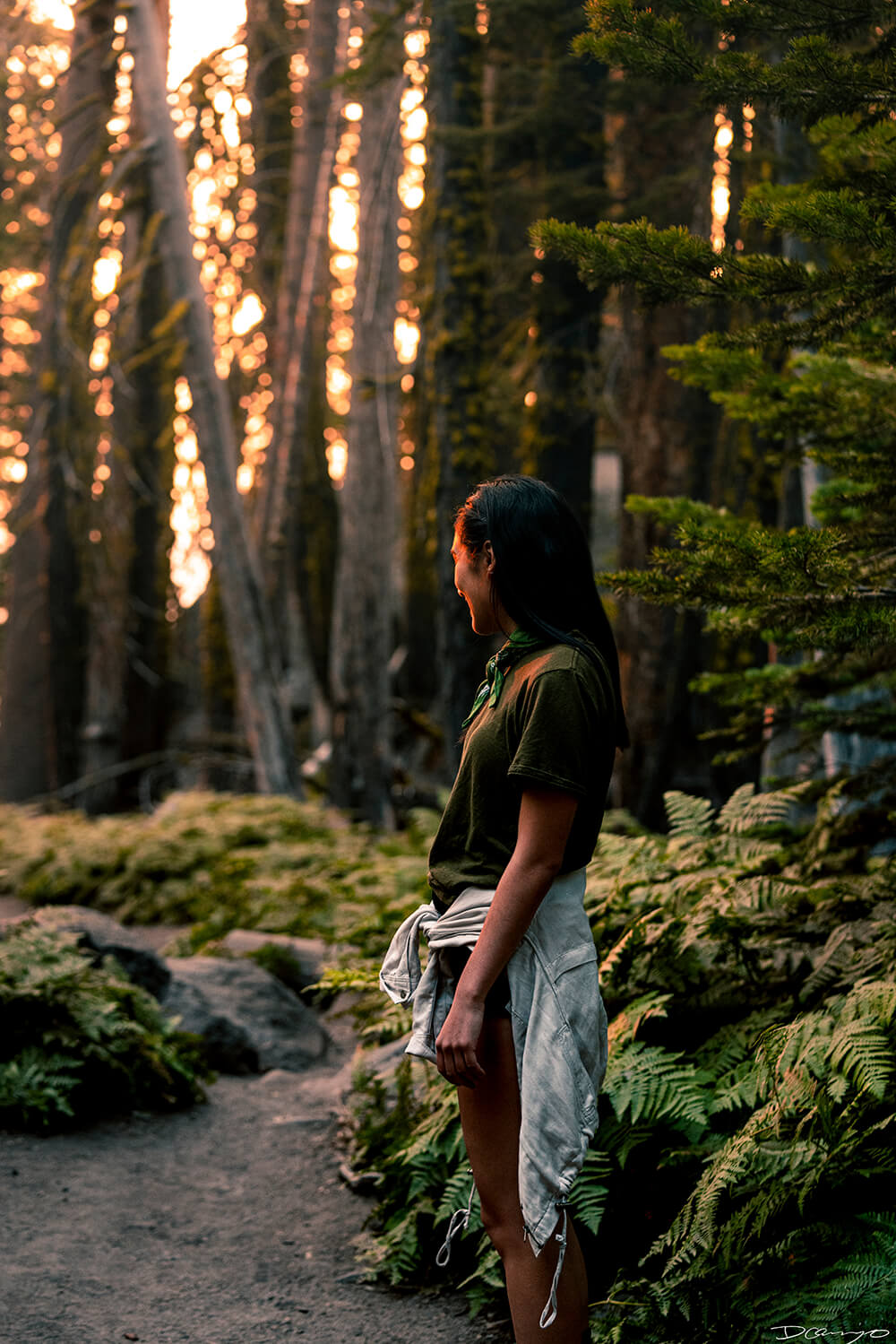 Landscape and nature photos from Yosemite, CA, during a vibrant sunset at the end of August 2020.