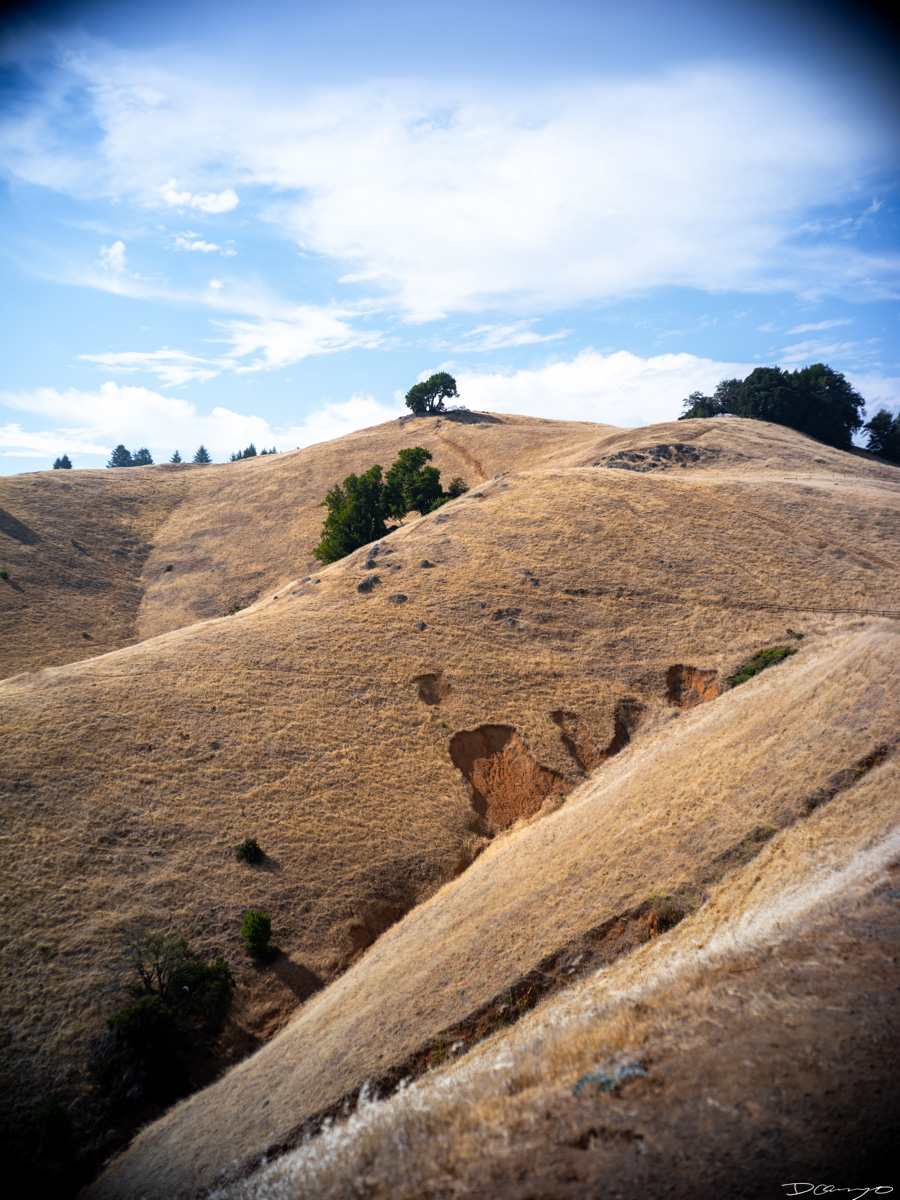 Photos from California during Summer 2023.