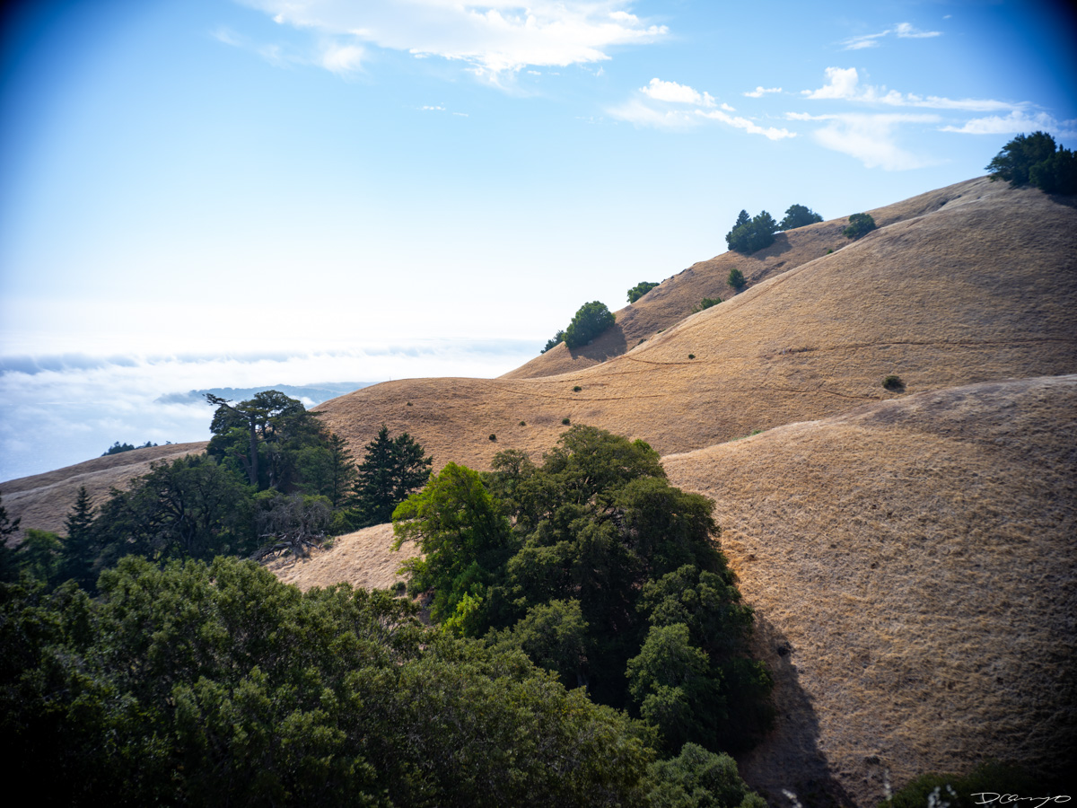 Photos from California during Summer 2023.