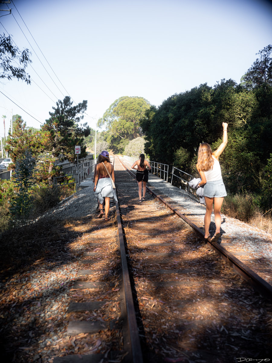 Photos from California during Summer 2023.