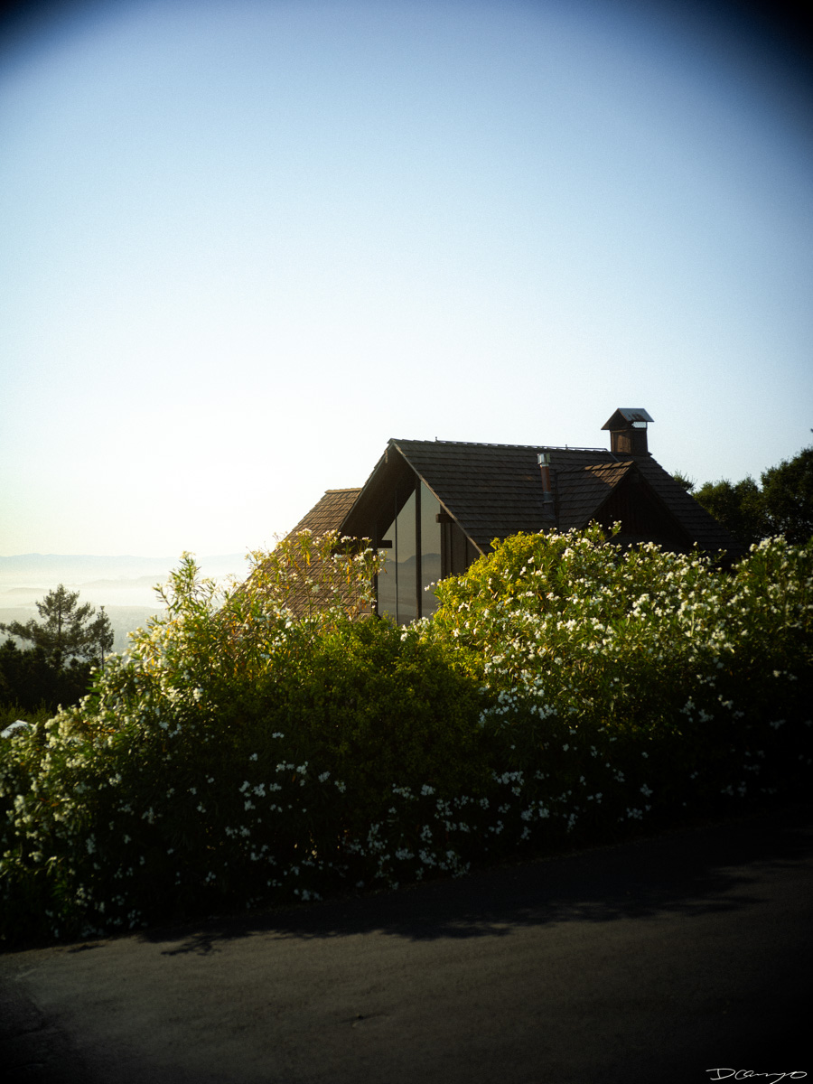 Photos from California during Summer 2023.