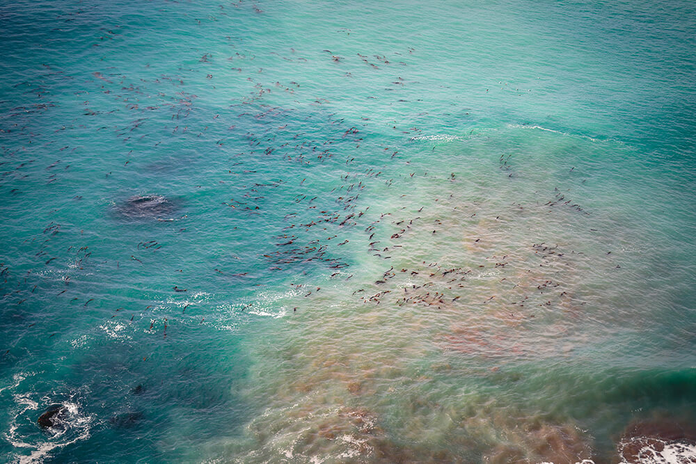 Big Sur Overhead Wave Cove 4, CA