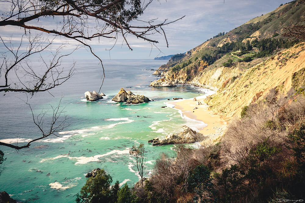 McWay Cove Opposite Side, CA