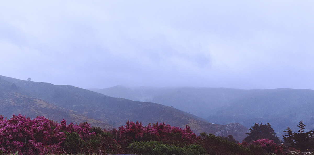 Misty Valley from Panoramic Highway near Muir Woods, CA