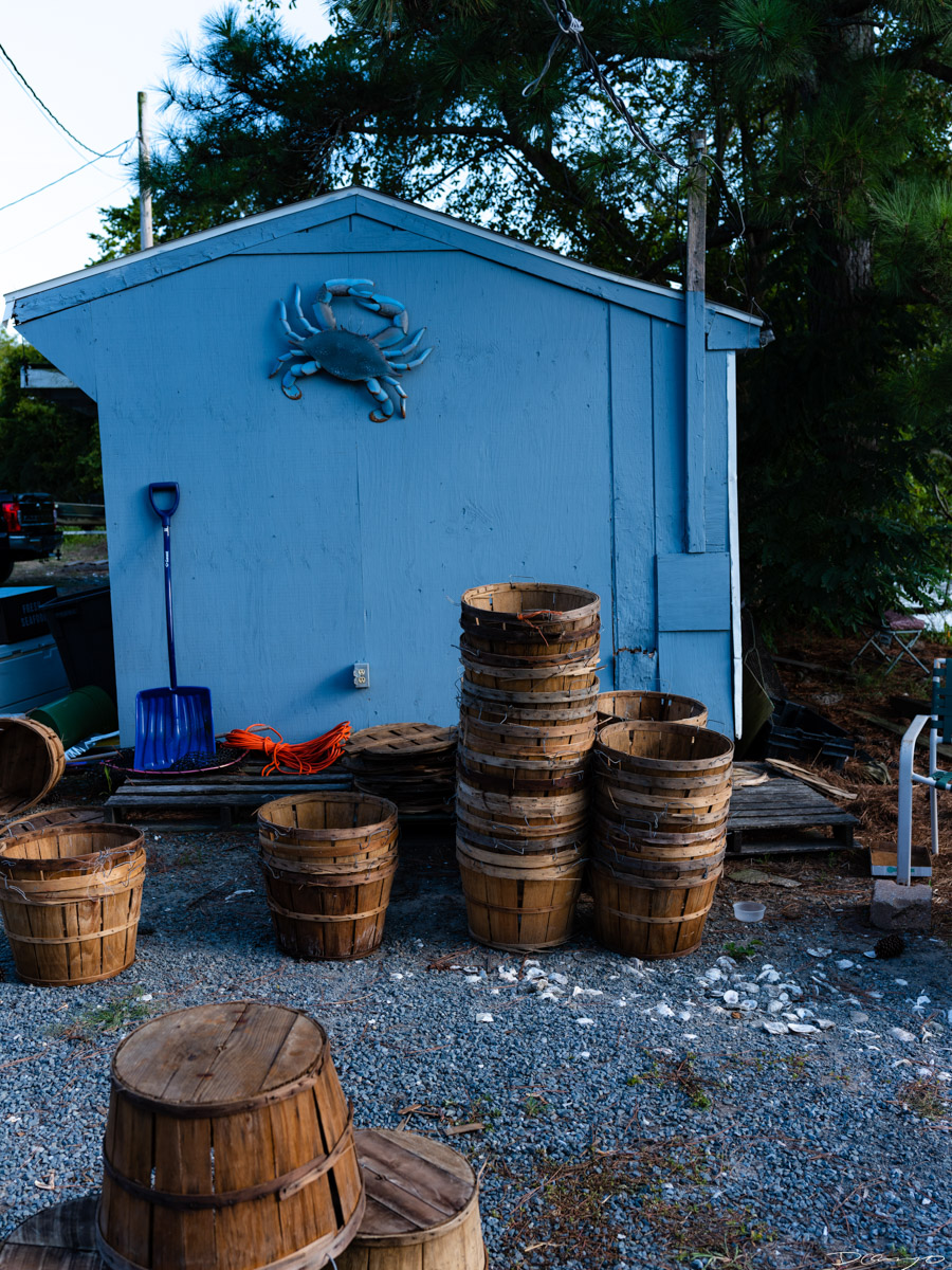 Photos from Gay's Seafood in Easton, Maryland.