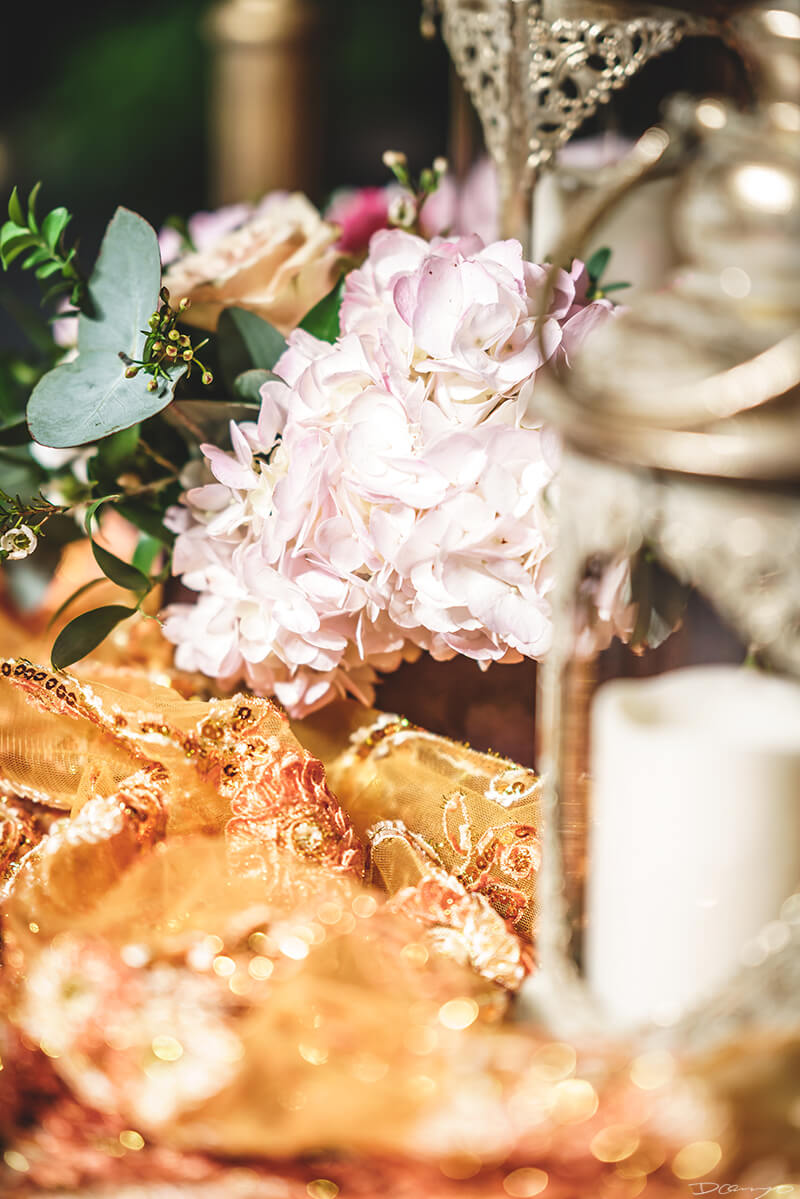 Kevin & Priya Sangeet