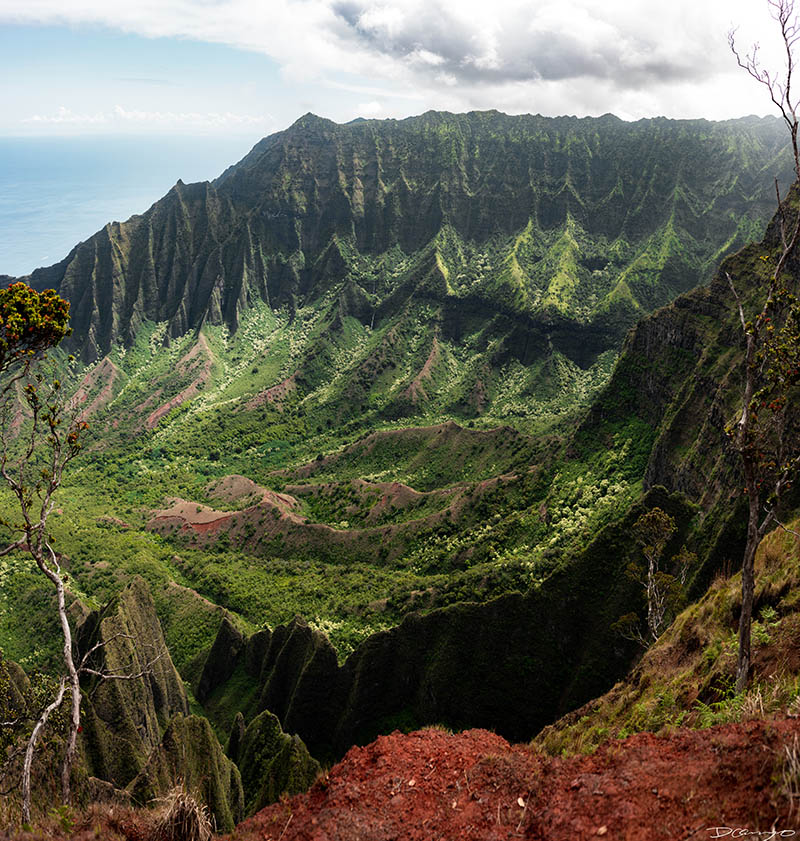 Photos from Kauai, Hawaii in June of 2021. Photos of Waimea Canyon, Waimea Plantation, Snorkeling at Hideaway Beach, Red Dirt Waterfall, Kalepa Trail, Napali (Na Pali) Coast, Jack Harter Helicopter Tours, Kalalau Trail.