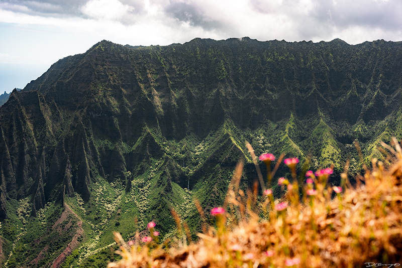 Photos from Kauai, Hawaii in June of 2021. Photos of Waimea Canyon, Waimea Plantation, Snorkeling at Hideaway Beach, Red Dirt Waterfall, Kalepa Trail, Napali (Na Pali) Coast, Jack Harter Helicopter Tours, Kalalau Trail.