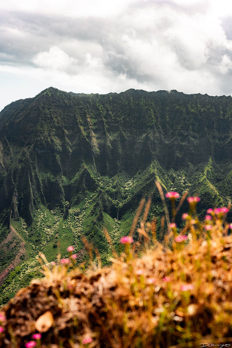 Photos from Kauai, Hawaii in June of 2021. Photos of Waimea Canyon, Waimea Plantation, Snorkeling at Hideaway Beach, Red Dirt Waterfall, Kalepa Trail, Napali (Na Pali) Coast, Jack Harter Helicopter Tours, Kalalau Trail.