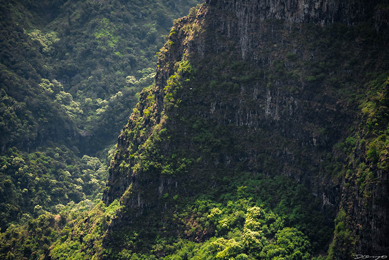 Photos from Kauai, Hawaii in June of 2021. Photos of Waimea Canyon, Waimea Plantation, Snorkeling at Hideaway Beach, Red Dirt Waterfall, Kalepa Trail, Napali (Na Pali) Coast, Jack Harter Helicopter Tours, Kalalau Trail.