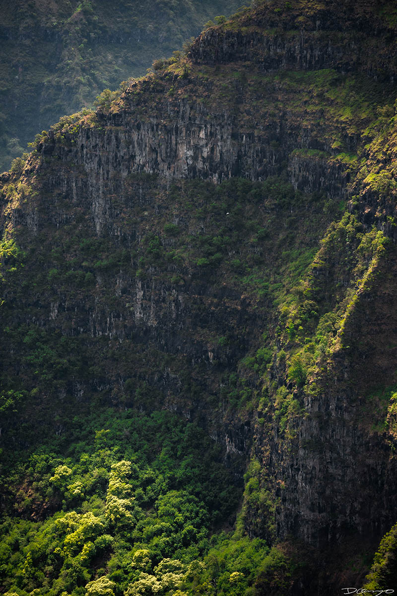 Photos from Kauai, Hawaii in June of 2021. Photos of Waimea Canyon, Waimea Plantation, Snorkeling at Hideaway Beach, Red Dirt Waterfall, Kalepa Trail, Napali (Na Pali) Coast, Jack Harter Helicopter Tours, Kalalau Trail.
