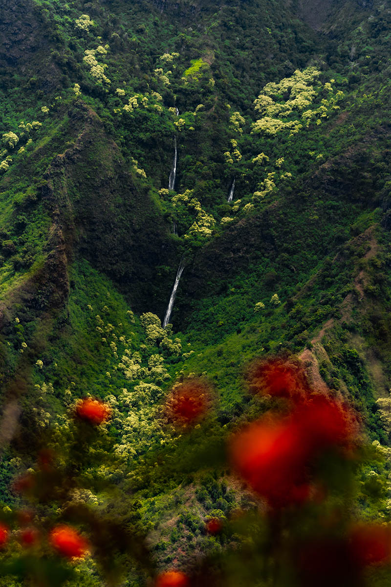 Photos from Kauai, Hawaii in June of 2021. Photos of Waimea Canyon, Waimea Plantation, Snorkeling at Hideaway Beach, Red Dirt Waterfall, Kalepa Trail, Napali (Na Pali) Coast, Jack Harter Helicopter Tours, Kalalau Trail.