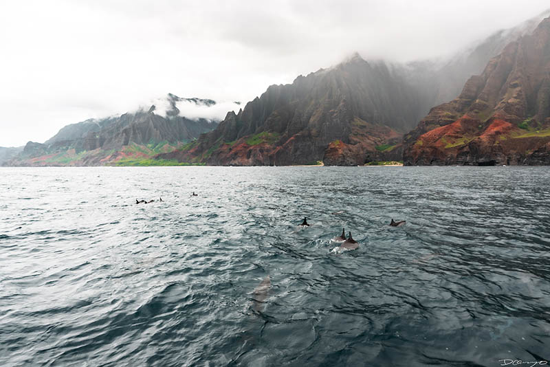 Photos from Kauai, Hawaii in June of 2021. Photos of Waimea Canyon, Waimea Plantation, Snorkeling at Hideaway Beach, Red Dirt Waterfall, Kalepa Trail, Napali (Na Pali) Coast, Jack Harter Helicopter Tours, Kalalau Trail.