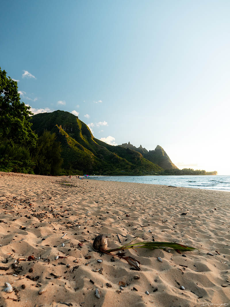 Photos from Kauai, Hawaii in June of 2021. Photos of Waimea Canyon, Waimea Plantation, Snorkeling at Hideaway Beach, Red Dirt Waterfall, Kalepa Trail, Napali (Na Pali) Coast, Jack Harter Helicopter Tours, Kalalau Trail.