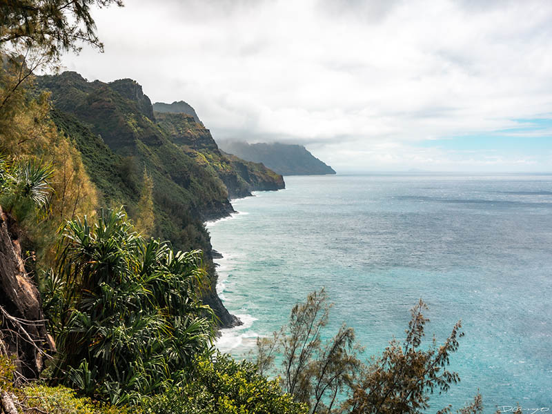Photos from Kauai, Hawaii in June of 2021. Photos of Waimea Canyon, Waimea Plantation, Snorkeling at Hideaway Beach, Red Dirt Waterfall, Kalepa Trail, Napali (Na Pali) Coast, Jack Harter Helicopter Tours, Kalalau Trail.
