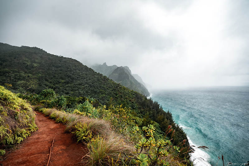 Photos from Kauai, Hawaii in June of 2021. Photos of Waimea Canyon, Waimea Plantation, Snorkeling at Hideaway Beach, Red Dirt Waterfall, Kalepa Trail, Napali (Na Pali) Coast, Jack Harter Helicopter Tours, Kalalau Trail.
