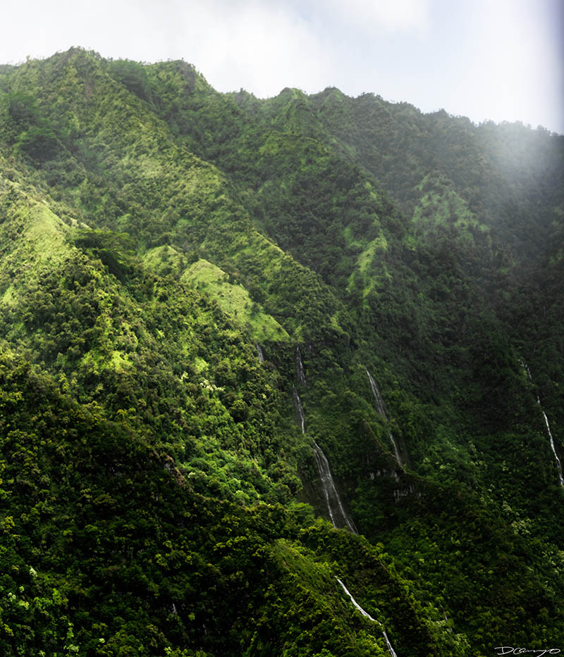 Photos from Kauai, Hawaii in June of 2021. Photos of Waimea Canyon, Waimea Plantation, Snorkeling at Hideaway Beach, Red Dirt Waterfall, Kalepa Trail, Napali (Na Pali) Coast, Jack Harter Helicopter Tours, Kalalau Trail.