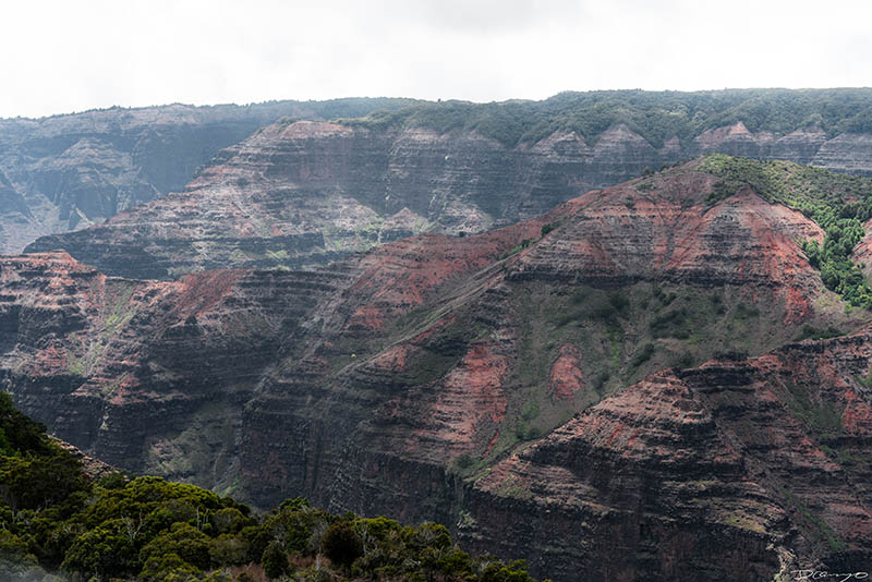 Photos from Kauai, Hawaii in June of 2021. Photos of Waimea Canyon, Waimea Plantation, Snorkeling at Hideaway Beach, Red Dirt Waterfall, Kalepa Trail, Napali (Na Pali) Coast, Jack Harter Helicopter Tours, Kalalau Trail.