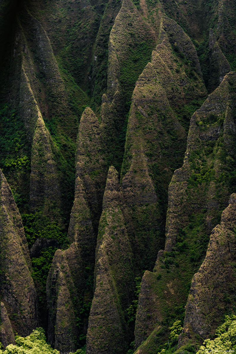 Photos from Kauai, Hawaii in June of 2021. Photos of Waimea Canyon, Waimea Plantation, Snorkeling at Hideaway Beach, Red Dirt Waterfall, Kalepa Trail, Napali (Na Pali) Coast, Jack Harter Helicopter Tours, Kalalau Trail.