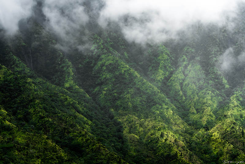 Photos from Kauai, Hawaii in June of 2021. Photos of Waimea Canyon, Waimea Plantation, Snorkeling at Hideaway Beach, Red Dirt Waterfall, Kalepa Trail, Napali (Na Pali) Coast, Jack Harter Helicopter Tours, Kalalau Trail.