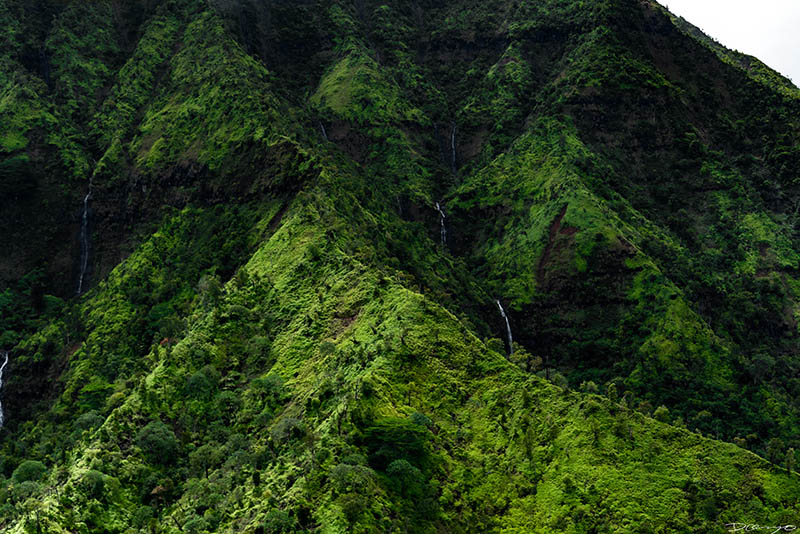 Photos from Kauai, Hawaii in June of 2021. Photos of Waimea Canyon, Waimea Plantation, Snorkeling at Hideaway Beach, Red Dirt Waterfall, Kalepa Trail, Napali (Na Pali) Coast, Jack Harter Helicopter Tours, Kalalau Trail.