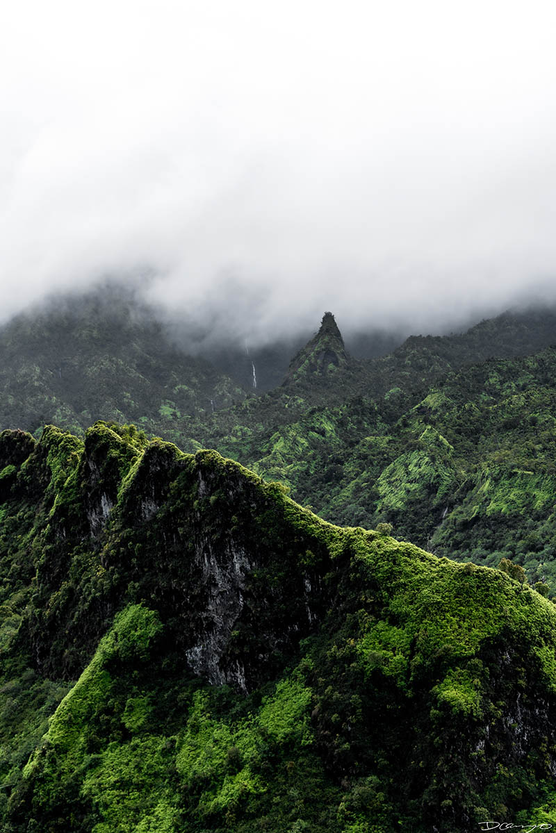 Photos from Kauai, Hawaii in June of 2021. Photos of Waimea Canyon, Waimea Plantation, Snorkeling at Hideaway Beach, Red Dirt Waterfall, Kalepa Trail, Napali (Na Pali) Coast, Jack Harter Helicopter Tours, Kalalau Trail.