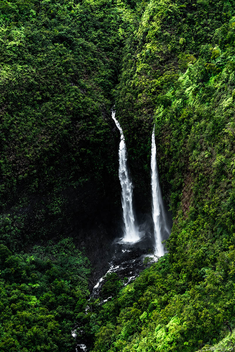 Photos from Kauai, Hawaii in June of 2021. Photos of Waimea Canyon, Waimea Plantation, Snorkeling at Hideaway Beach, Red Dirt Waterfall, Kalepa Trail, Napali (Na Pali) Coast, Jack Harter Helicopter Tours, Kalalau Trail.