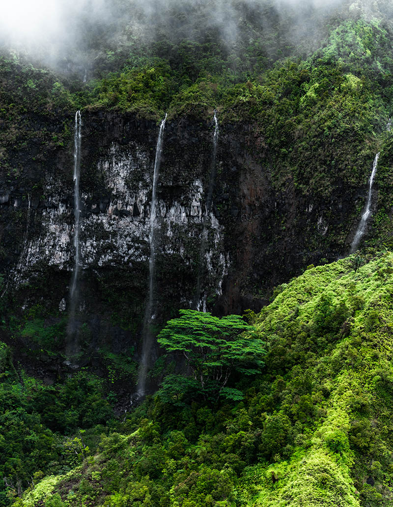 Photos from Kauai, Hawaii in June of 2021. Photos of Waimea Canyon, Waimea Plantation, Snorkeling at Hideaway Beach, Red Dirt Waterfall, Kalepa Trail, Napali (Na Pali) Coast, Jack Harter Helicopter Tours, Kalalau Trail.