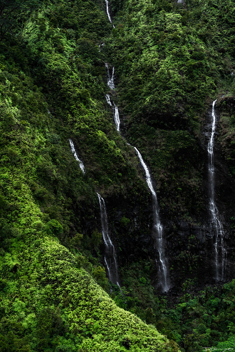 Photos from Kauai, Hawaii in June of 2021. Photos of Waimea Canyon, Waimea Plantation, Snorkeling at Hideaway Beach, Red Dirt Waterfall, Kalepa Trail, Napali (Na Pali) Coast, Jack Harter Helicopter Tours, Kalalau Trail.