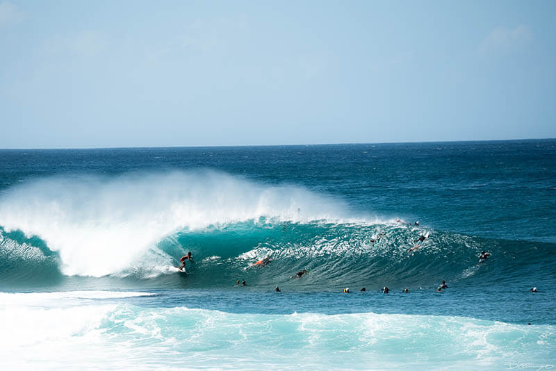 Photos from Oahu, Hawaii in November of 2021. Photos of North Beach and Banzai Pipeline, Olomana Trail Hike, and more.