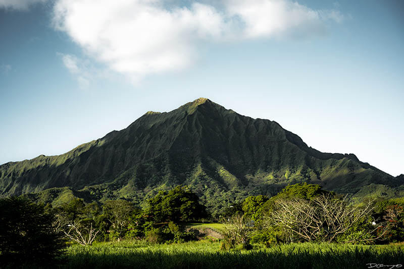 Photos from Oahu, Hawaii in November of 2021. Photos of North Beach and Banzai Pipeline, Olomana Trail Hike, and more.