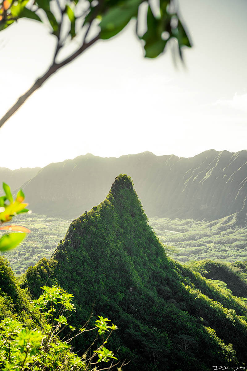 Photos from Oahu, Hawaii in November of 2021. Photos of North Beach and Banzai Pipeline, Olomana Trail Hike, and more.
