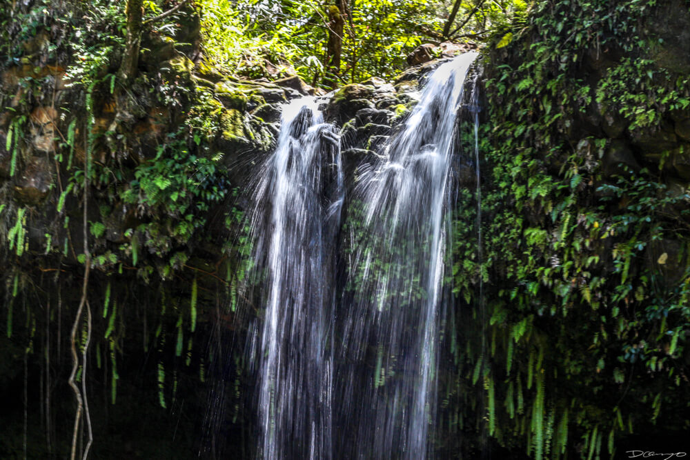 A waterfall on Mauai, Hawaii