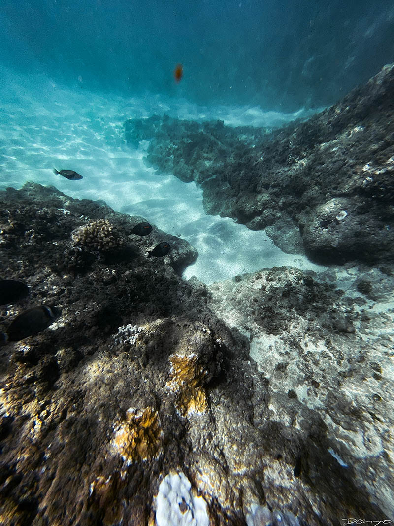 Photos from Kauai, Hawaii in June of 2021. Photos of Waimea Canyon, Waimea Plantation, Snorkeling at Hideaway Beach, Red Dirt Waterfall, Kalepa Trail, Napali (Na Pali) Coast, Jack Harter Helicopter Tours, Kalalau Trail.