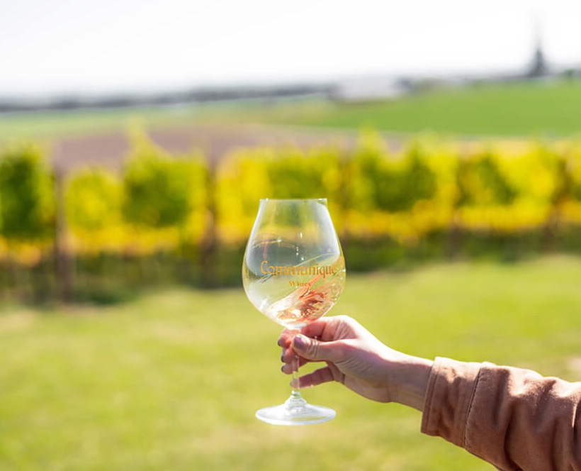 Photos with Communique Wines in McMinville, Oregon, in the Fall of 2020.