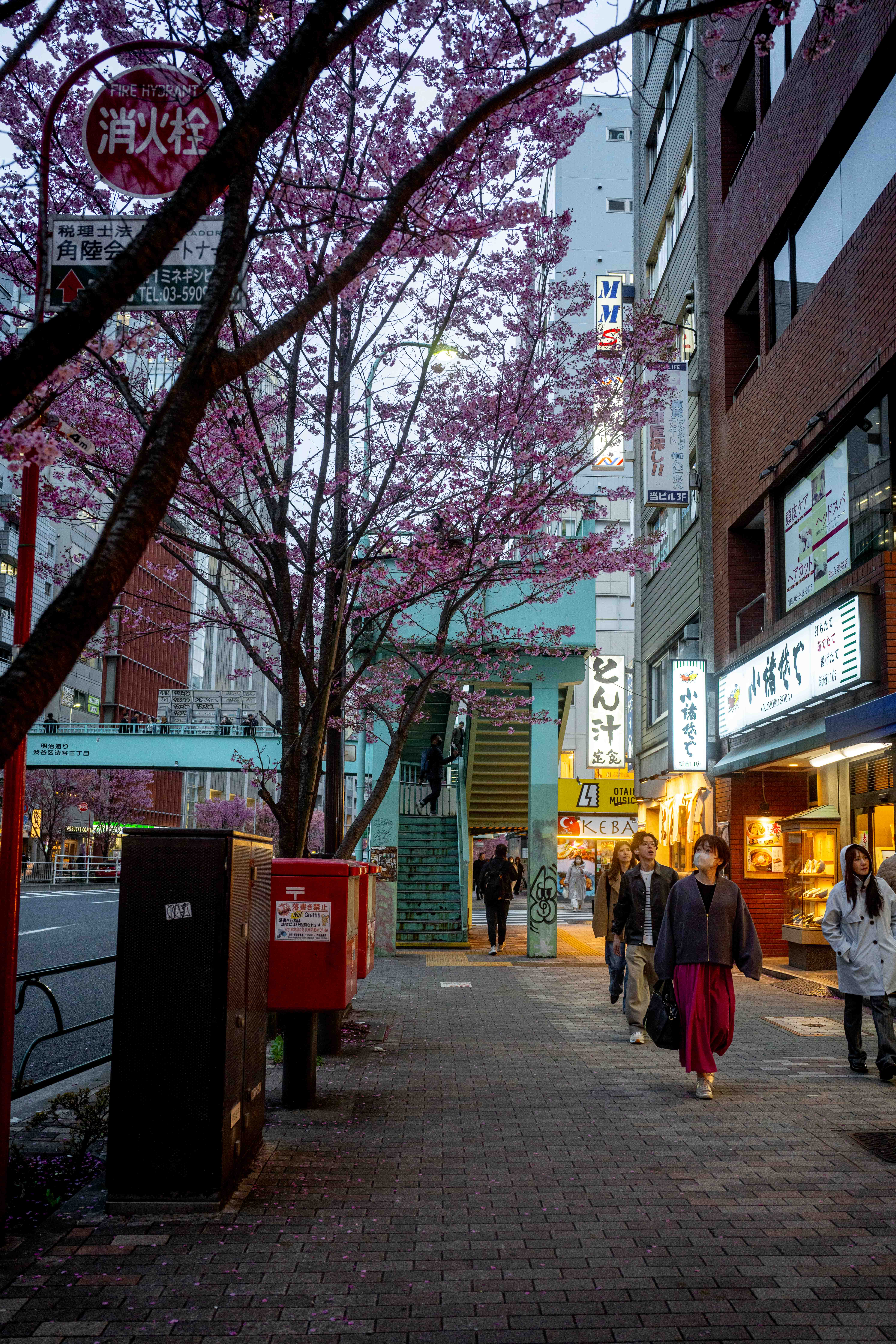 Photos from Tokyo and Kyoto, Japan, Spring 2026.