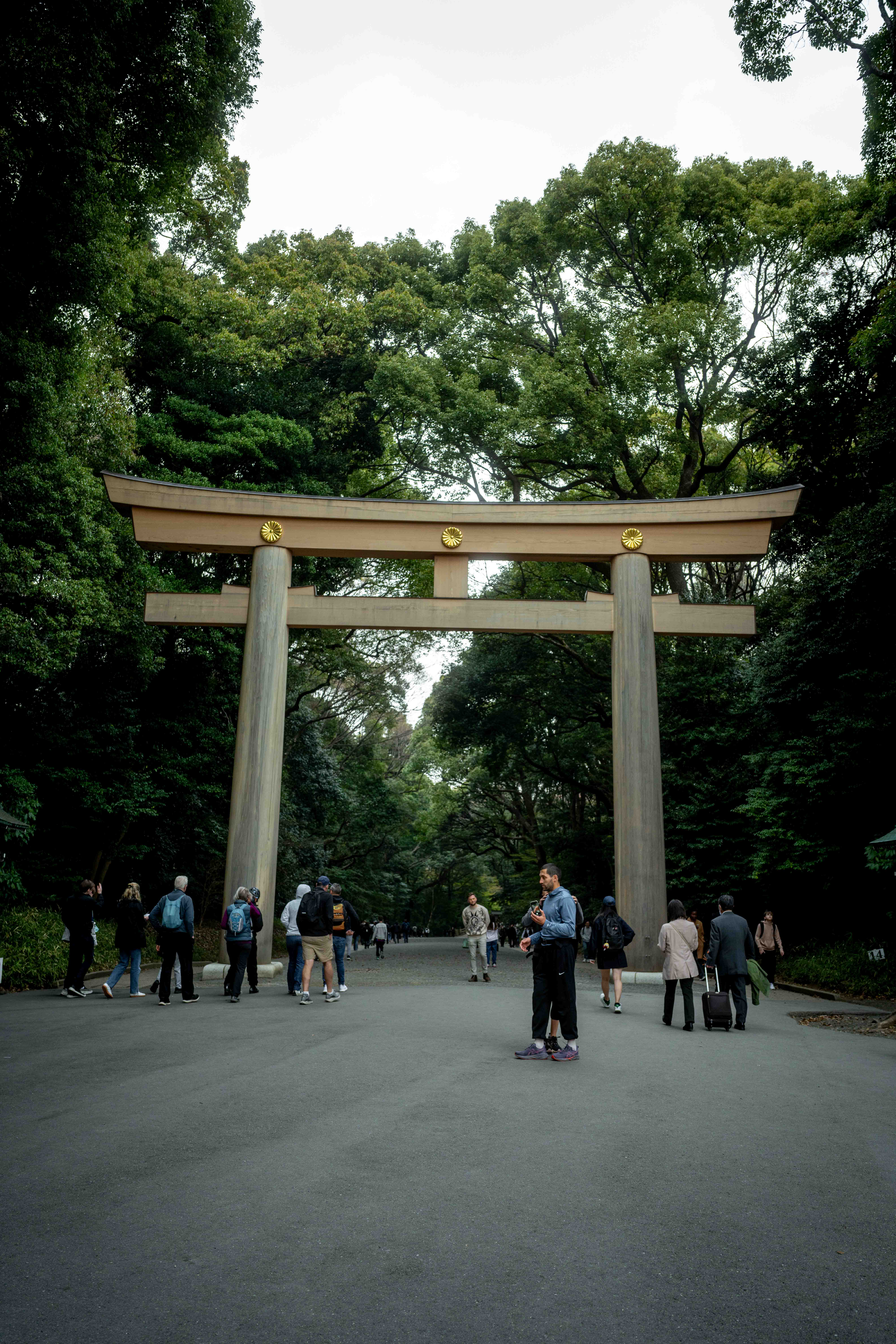 Photos from Tokyo and Kyoto, Japan, Spring 2026.