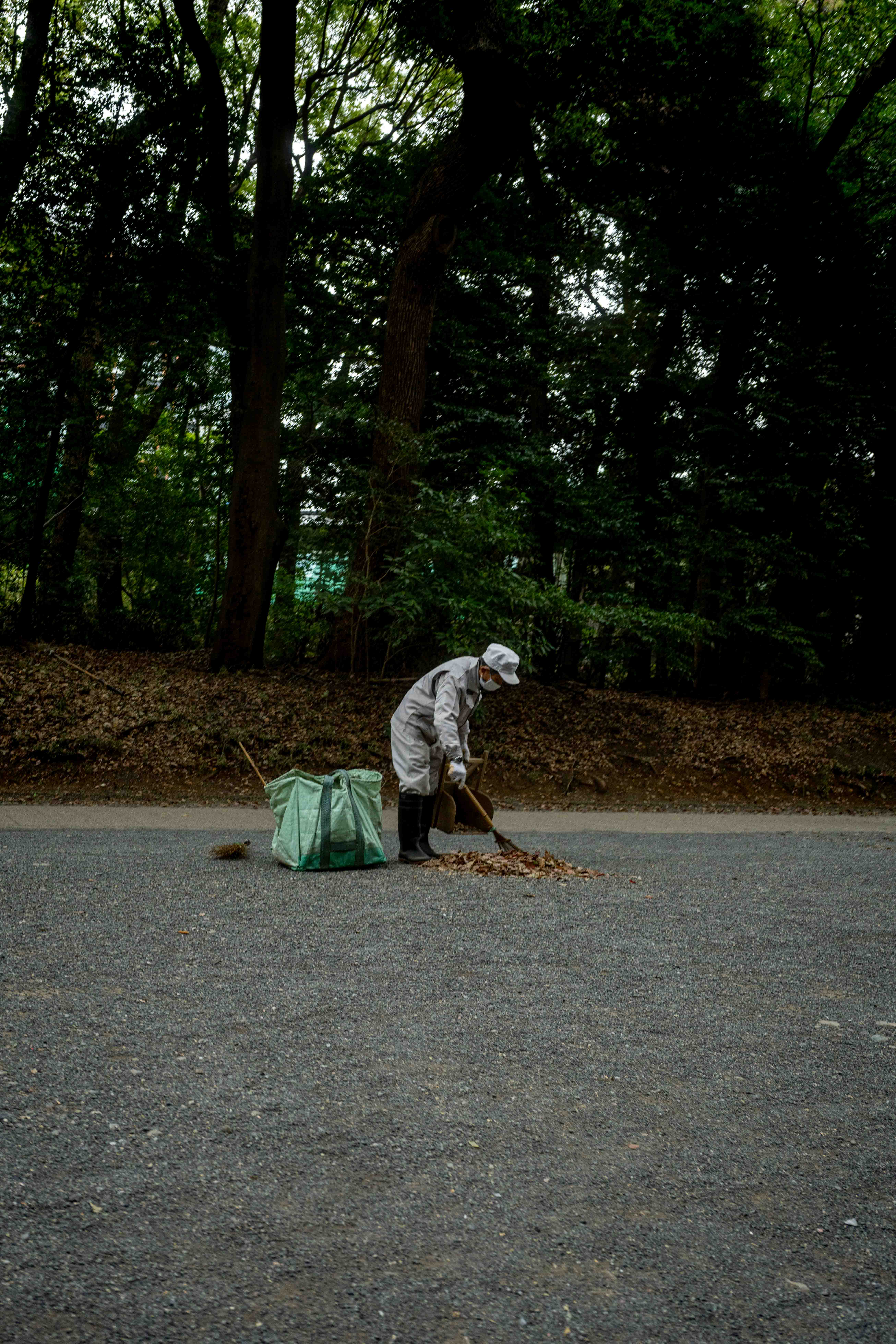 Photos from Tokyo and Kyoto, Japan, Spring 2026.