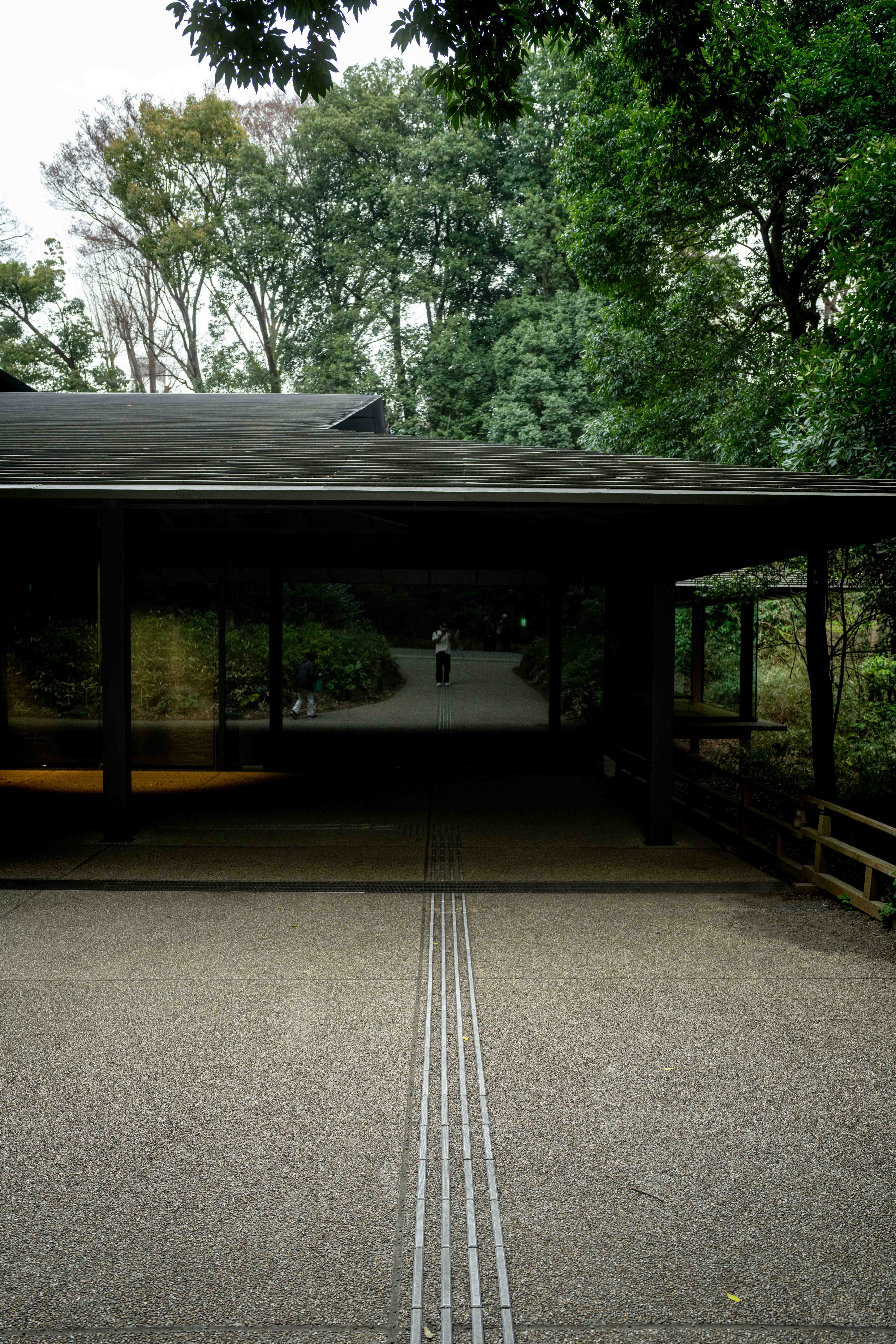 Photos from Tokyo and Kyoto, Japan, Spring 2026.