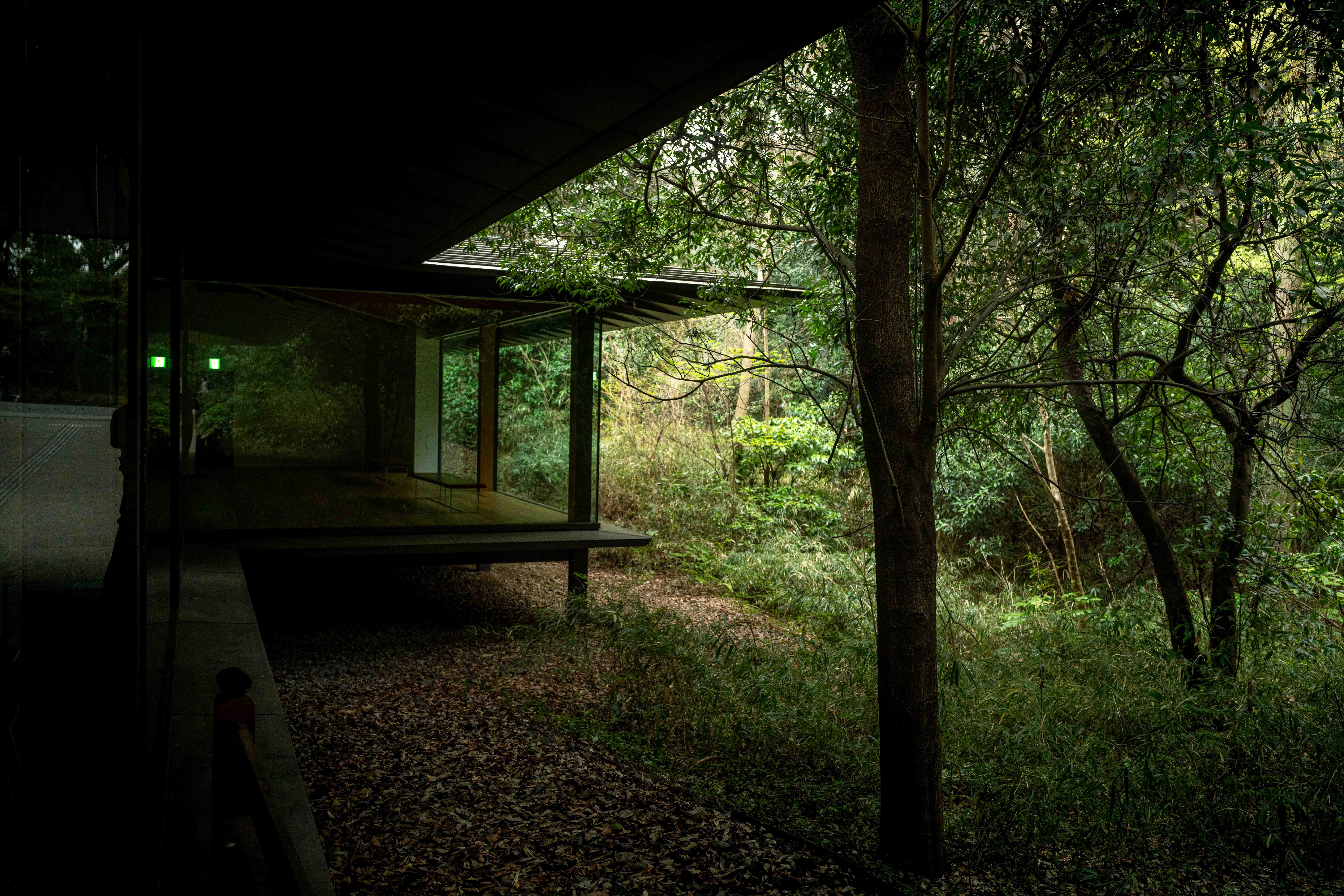 Photos from Tokyo and Kyoto, Japan, Spring 2026.