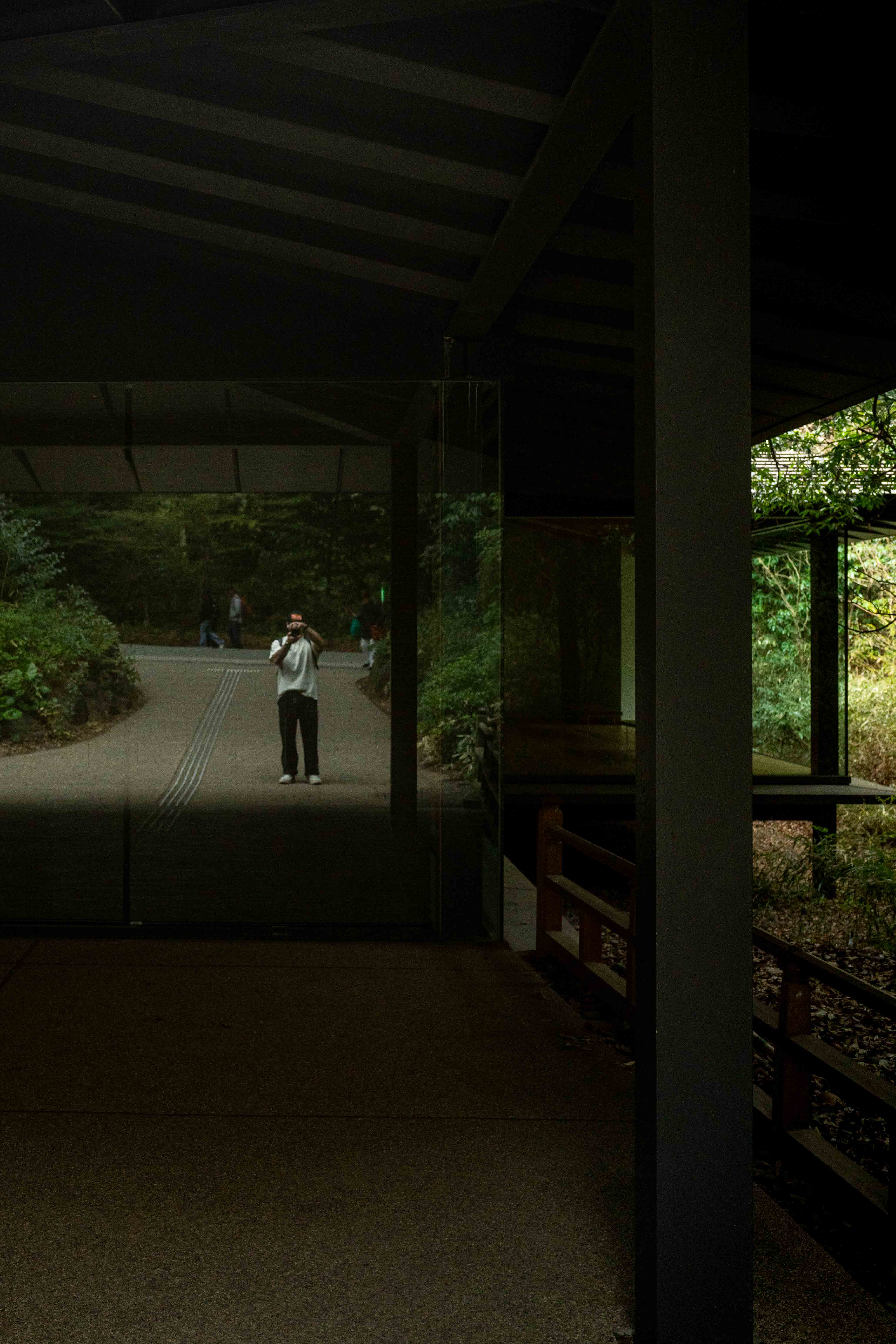 Photos from Tokyo and Kyoto, Japan, Spring 2026.