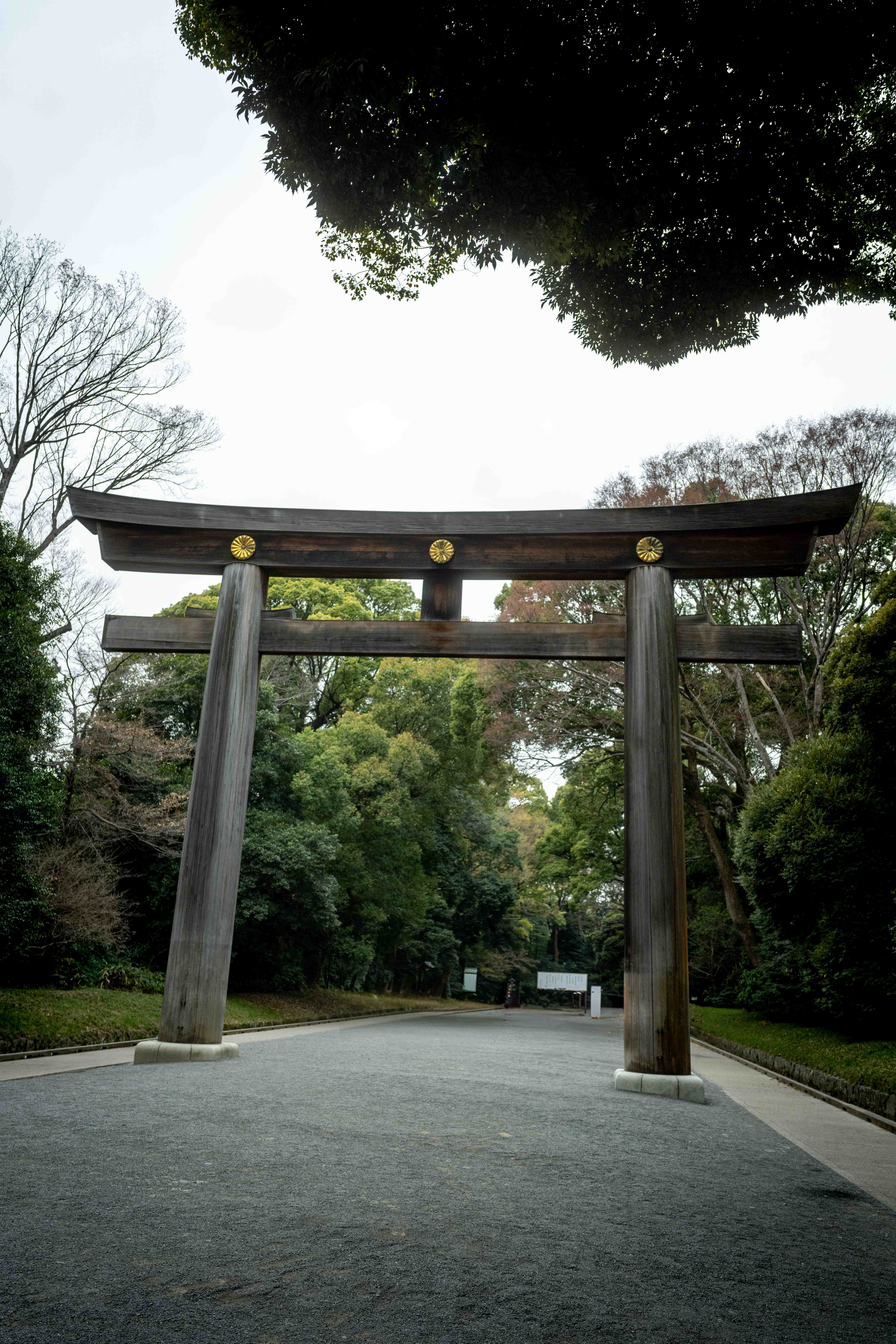 Photos from Tokyo and Kyoto, Japan, Spring 2026.