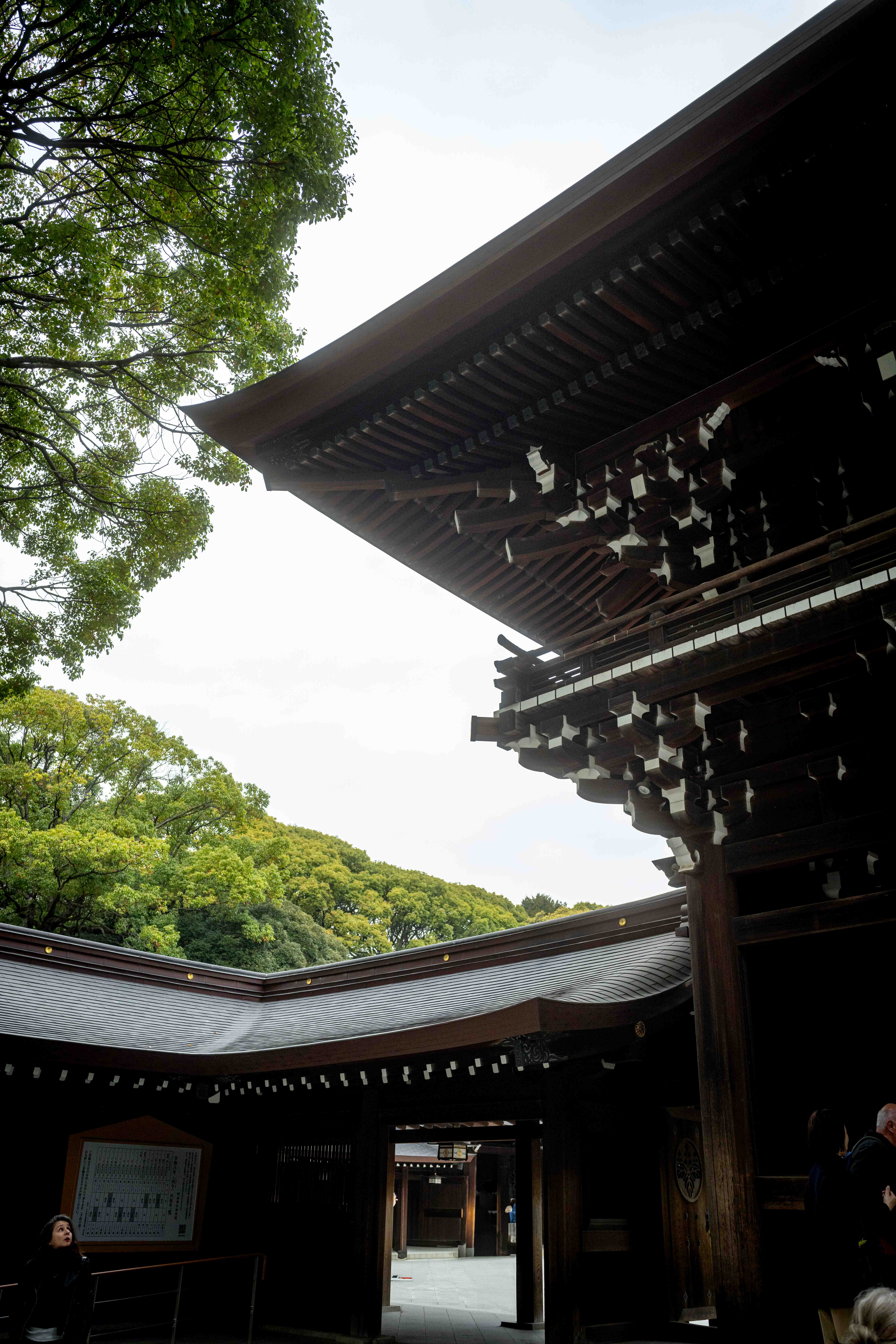 Photos from Tokyo and Kyoto, Japan, Spring 2026.