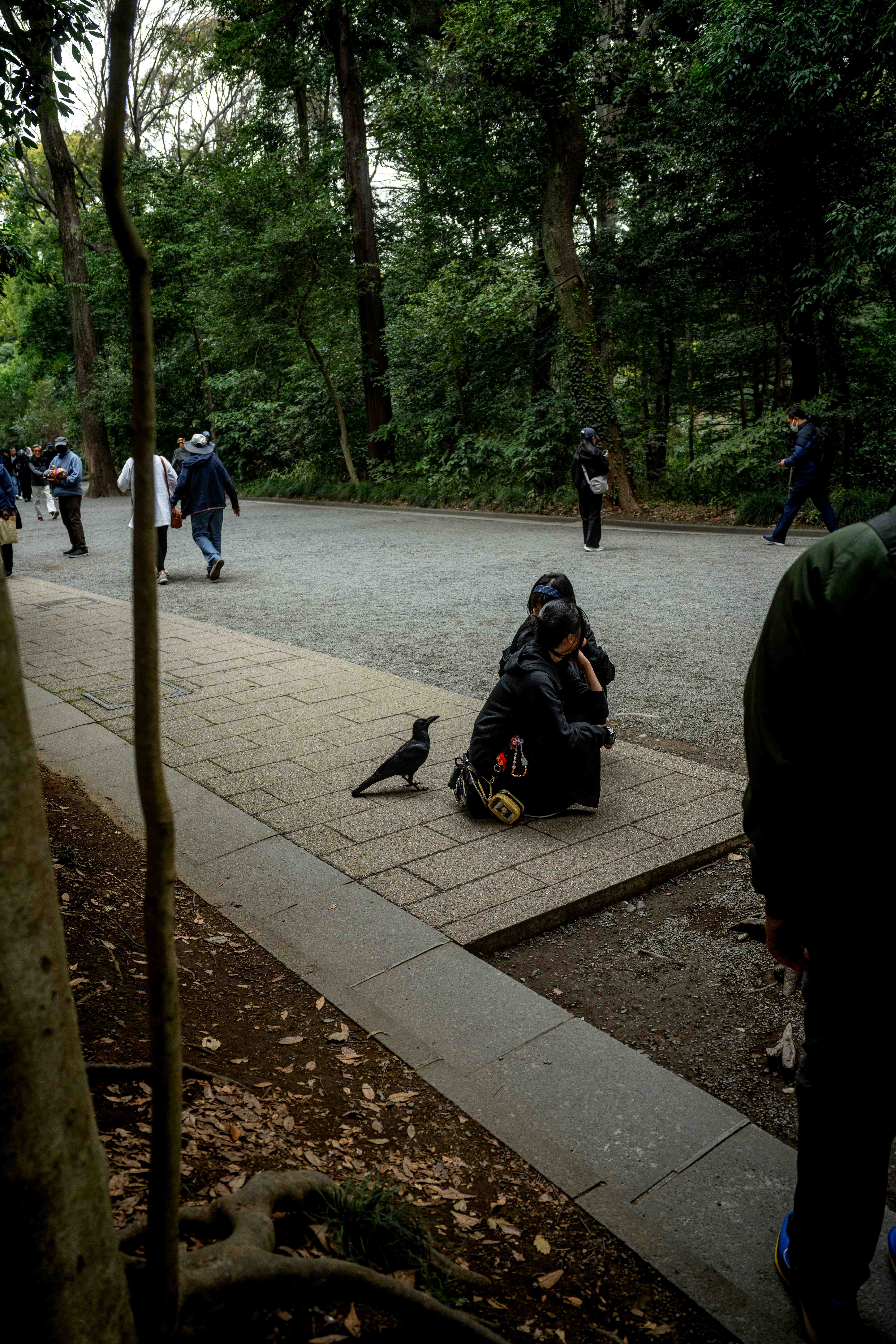 Photos from Tokyo and Kyoto, Japan, Spring 2026.